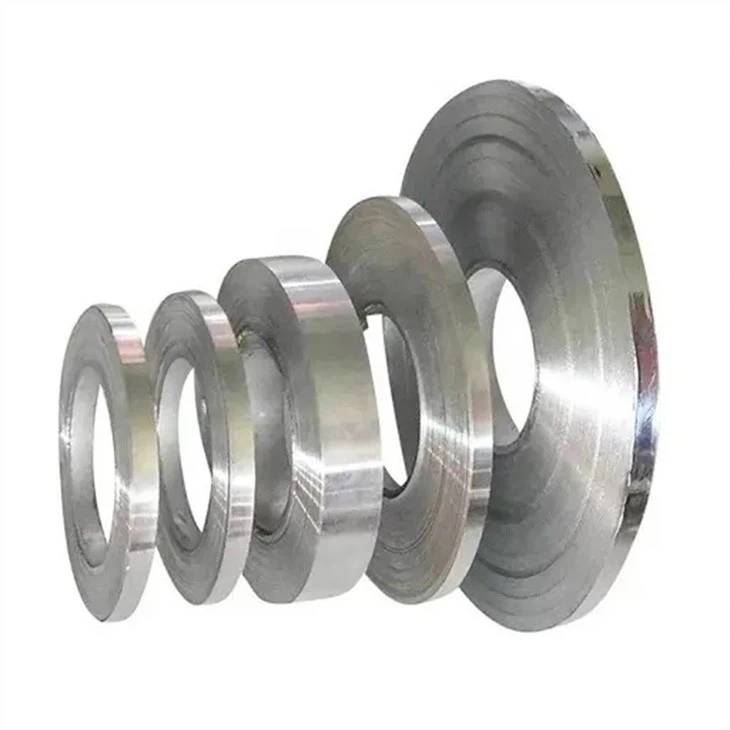 304L 309S Stainless Steel Strips/ Foil