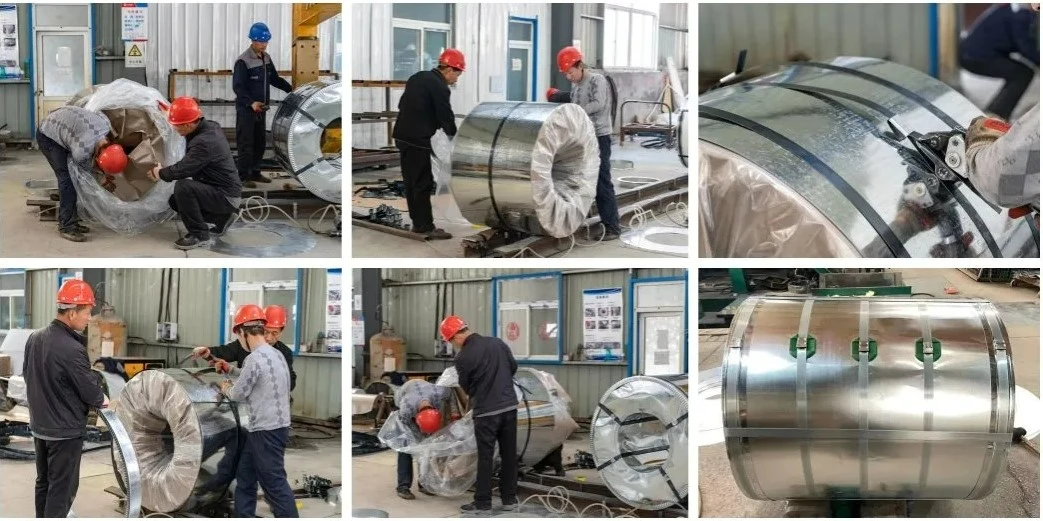 Galvanized steel coil DX51D Galvanized steel coil DX51D