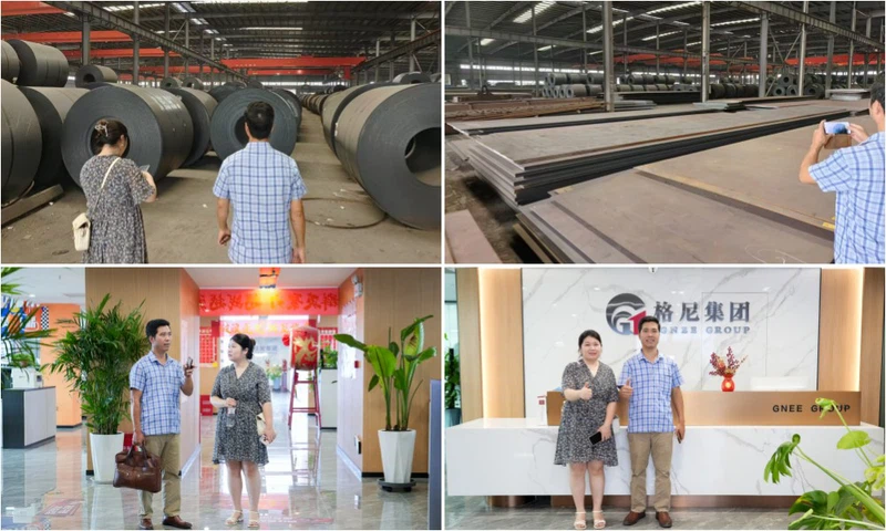 Gnee Customer visit Gnee Customer visit